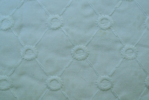 Schiffli White Cotton Fabric