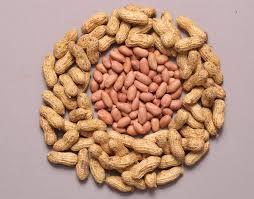 Groundnut
