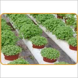 Hydroponics System
