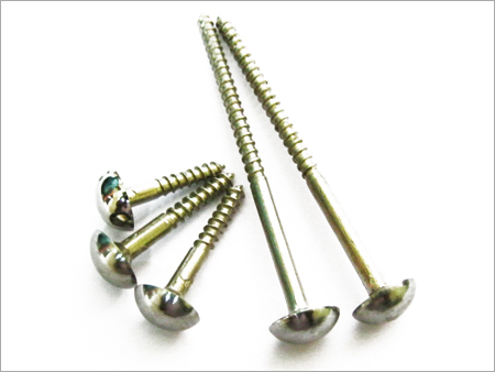 Brass Mirror Screws