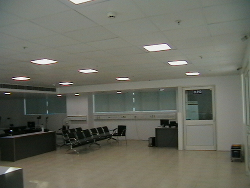 Elegant Roof Panel Designing