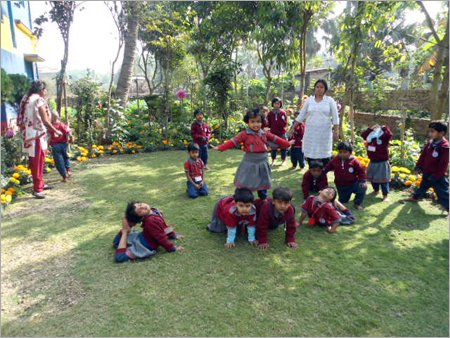 Educational Services - Age-Specific Curriculum, Certified Faculty | Play-Based Learning, Skill Building, Fun Activities