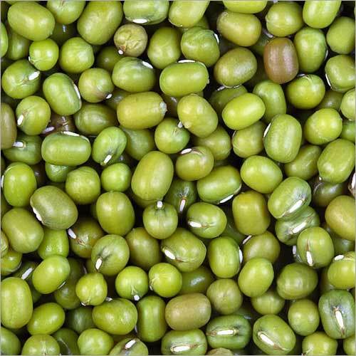 Green Mung Bean