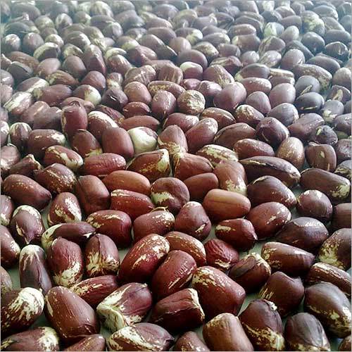Groundnuts