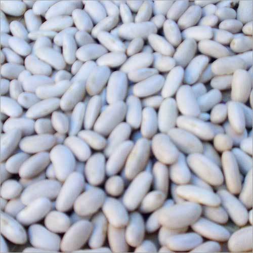 White Kidney Bean