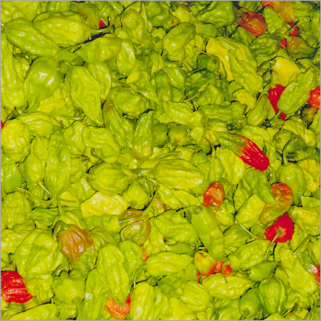 Spicy Red Chillies