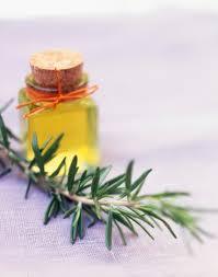 Rosemary Oil