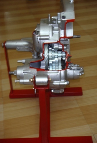 Cut sectional models of gear box