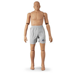 CPR Training Manikin