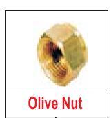 OLIVE NUT
