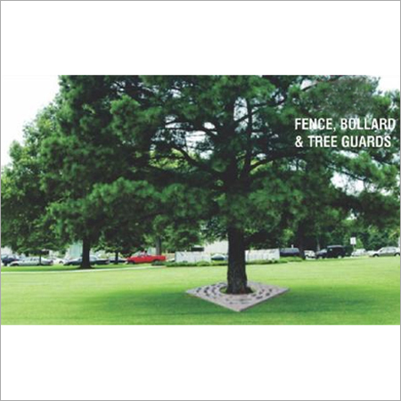 Tree Surround