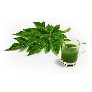 Papaya leaves