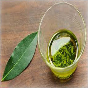 Bay Leaf Oil