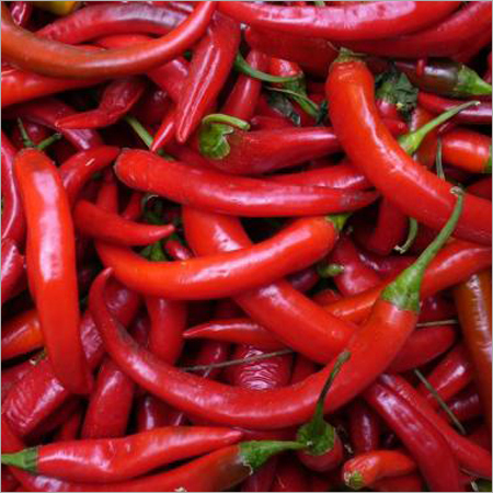 Chili Peppers