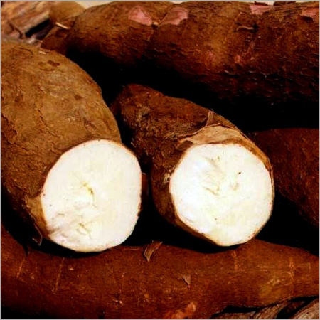 Organic Tapioca Starch