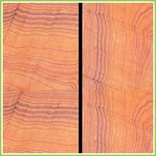 Indian Sandstone Slabs