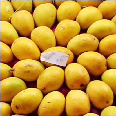 Alphonso Mangoes