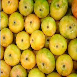 Fresh Mango