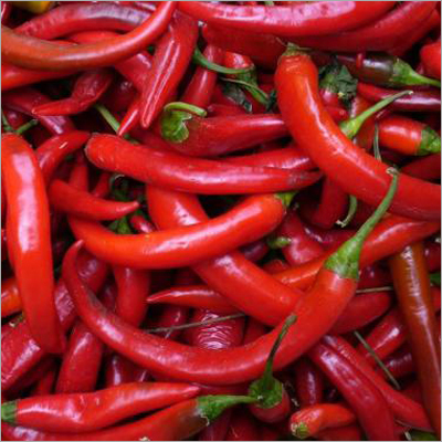 Fresh Red Chili