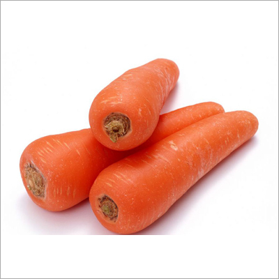 Fresh Carrots