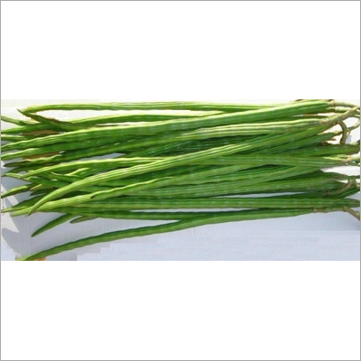 Moringa Drumstick