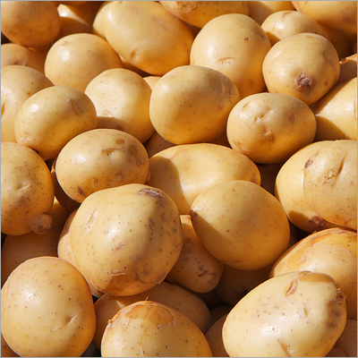Fresh Potatoes
