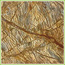 Rainforest Marble Tiles