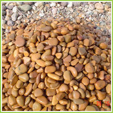 Natural Limestone Pebbles 