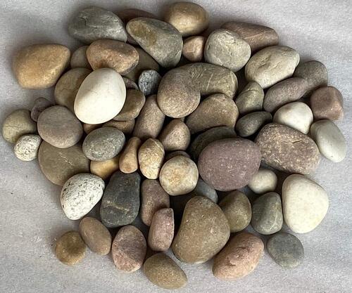 Indian Natural Stone Pebbles - Size: As Per Client