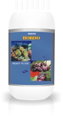 Border Liquid