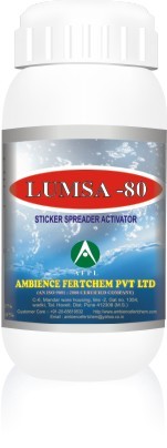 Lumsa 80