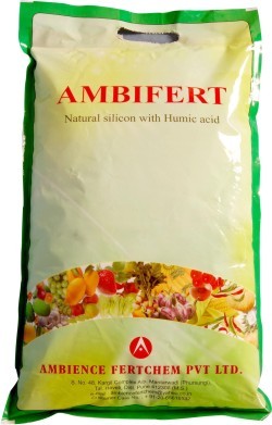 Ambifert