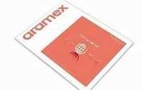 Highlydurable Tamper Evident Courier Bags