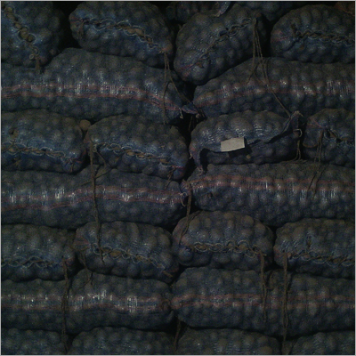 Commercial Cold Storage Services