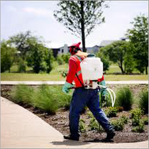 Weed Control Services