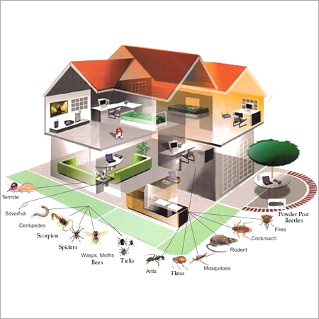 Domestic Pest Control
