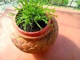 Clay small flower pot