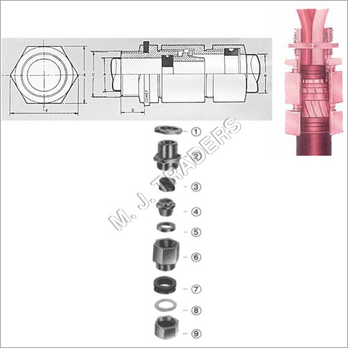 Flameproof Type Double Compression Cable Glands