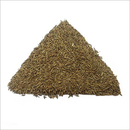Fresh Cumin Seed