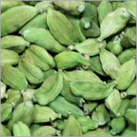 Cardamom