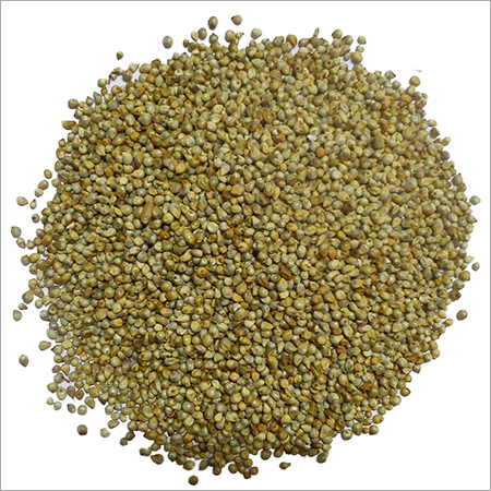 Green Millet