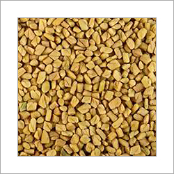 Fenugreek