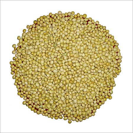 Soy Bean