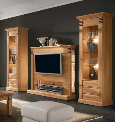 Wall cabinet t v stand