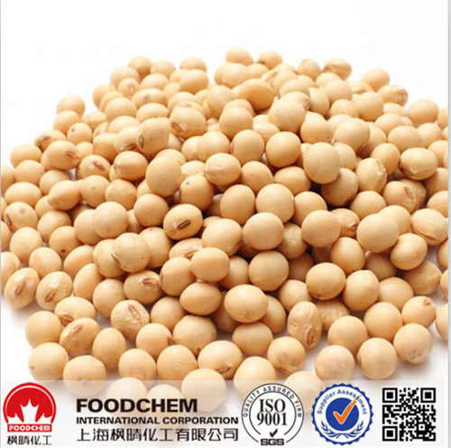 Concentrated Soy Protein Functional 70%		