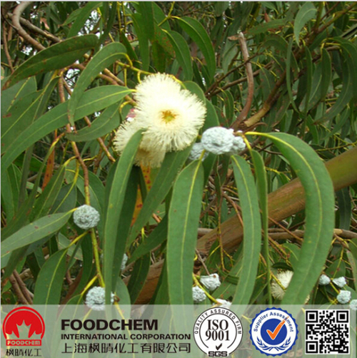 Eucalyptol