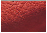 leather products:Semi chrome shoe suede