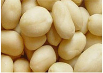 Blanched Peanuts without skin