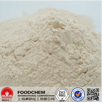 Natural Vital Wheat Gluten Powder - Light Yellow, 75.8% Protein, 98% Fineness | Meat Substitute, High Water Absorption, Versatile