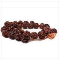 Rudraksha Mala